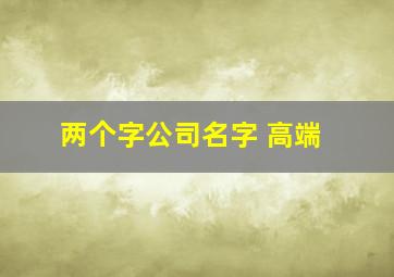 两个字公司名字 高端